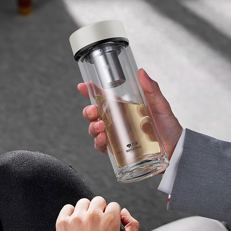 Portable Double-Wall Glass Tea Infuser Bottle