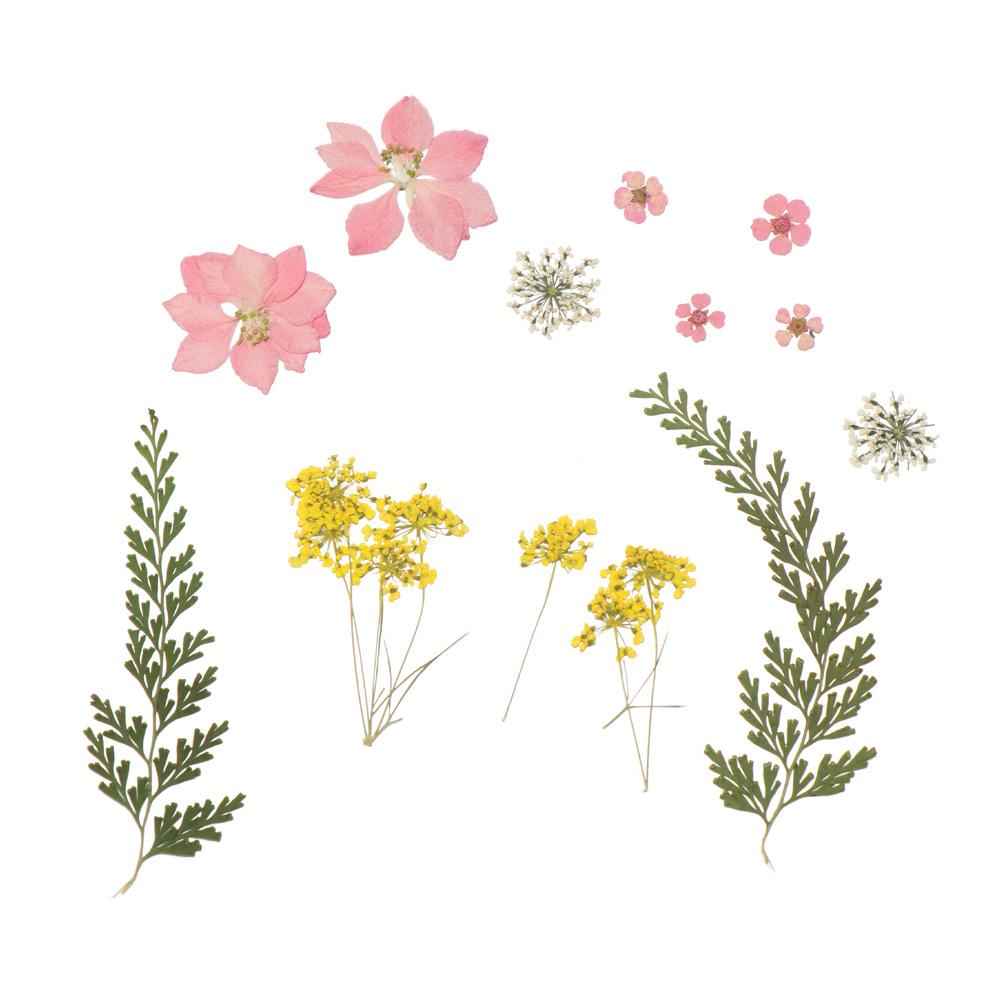 Jewelry Making Photo Props Resin Filler Beauty Decal Dried Flowers Resin Mold Filling Flower