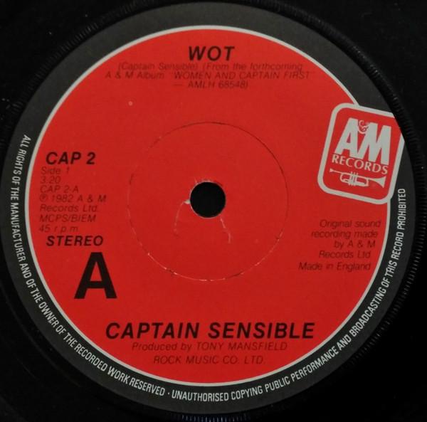 

7-дюймовая пластинка CAPTAIN SENSIBLE Wot Strawberry Dross CAP2 AM 1982 Ирландия Рок Б/у