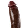 Extra Large Realistic Dildo – 5 Sizes Up To 33cm, Soft Liquid Silicone Penis Toy with Strong Suction Cup, Female & Couple Sex Toy