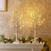 PEIDUO Christmas Decorations Indoor, 2 FT Birch Tree with LED Lights, Fairy Light Spirit Tree for Christmas Decor, Warm White Lighted Birch Trees for