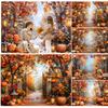 Autumn Forest Photography Background Fall Pumpkin Maple Leaves Street Light Kids Portrait Thanksgiving Backdrop Photo Studio
