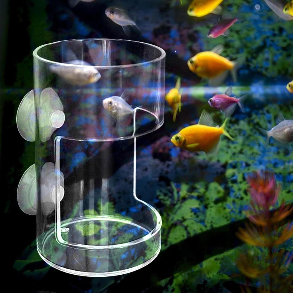 Akryl fiskefôringsrør for akvarium Clear Brine Shrimp Larve Worm