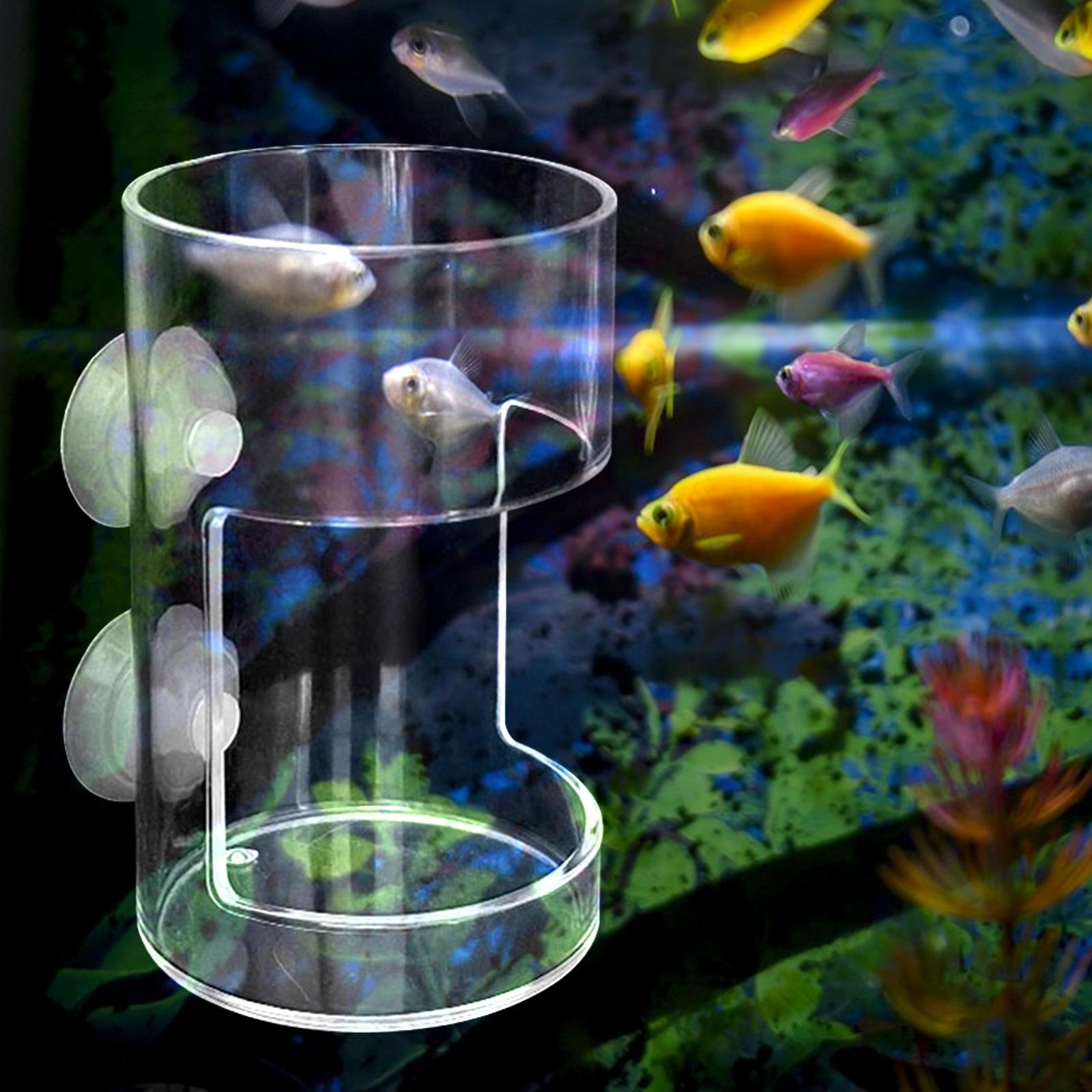 

Акриловая кормушка для рыб, трубка для кормления аквариума, прозрачная артемия, личинка, червь Cylinder