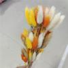 Yunnan Dried Flowers Bouquet - Rabbit Tail Grass