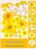 Handmade Transparent Bottle Embossing Film for Spring Plant Specimen Bookmarks