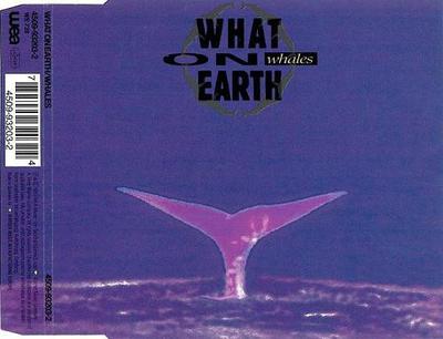 CD WHAT ON EARTH - Whales 4509932032 WEA 1993 Germany Dance & Electronica Used