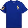 Polo T-Shirt Baumwolle Rundhals Kurzarm Kinder Oberteile 323832907-065