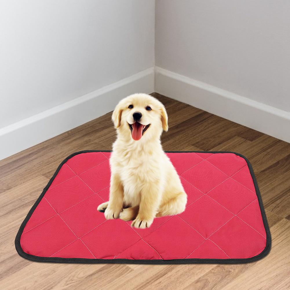 Buy Pet Sleeping Ground Mat Pet Mat, Pet Bed, for Pet Cats Dogs at