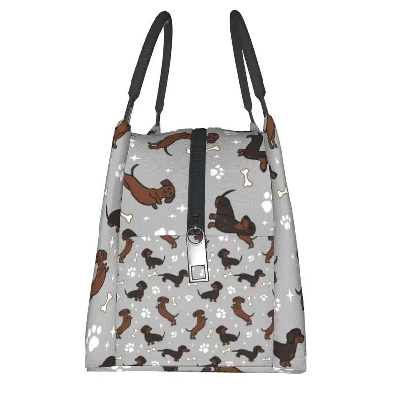 Genți de prânz izolate Dachshunds Dackel gri pentru camping călătorie Câinele teckel câinele cârnat cutie bento termică reutilizabilă cooler femei
