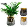 Hydroponic Plant Pot Self Watering Planter for Indoor Plants, Transparent Planter, Decorative Minimalist Flowerpot with Wick Rope Home Office Desktop
