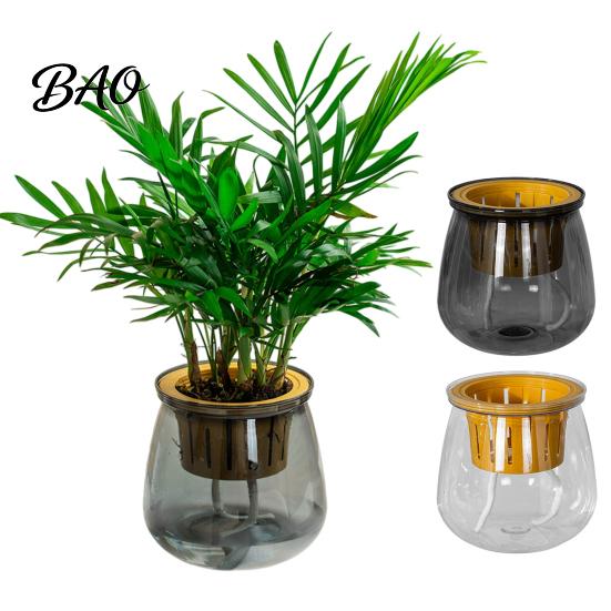 Hydroponic Plant Pot Self Watering Planter for Indoor Plants, Transparent Planter, Decorative Minimalist Flowerpot with Wick Rope Home Office Desktop