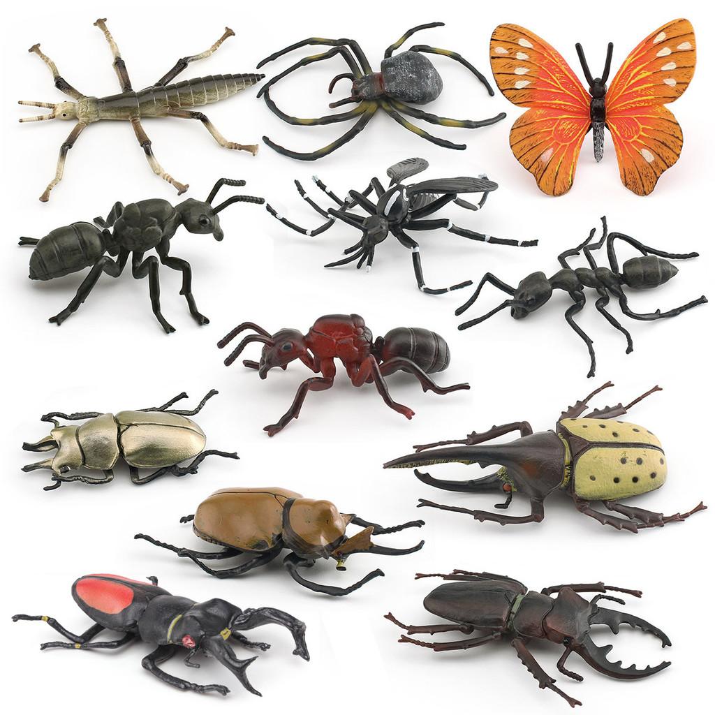 Insect Animal Model Pvc Collection For Educational Display And Collection Enthusiasts