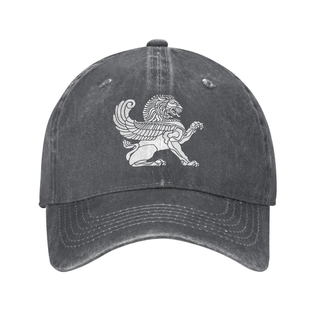 Persian Lion Iranian Baseball Cap Sun Outdoor Gym Sun-Proof Washed Trucker Hat Women Unisex Casual Design Snapback Cap
