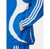 Толстовка adidas adicolor Teamgeist