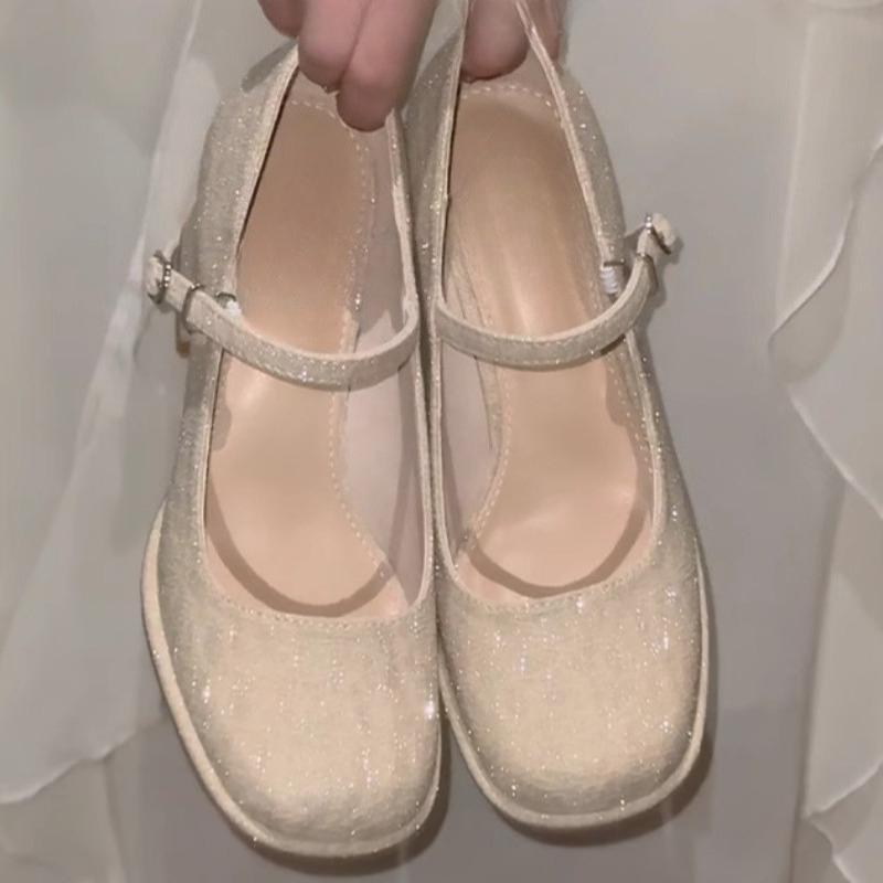 Fashion Women's Spring and Autumn New Round Toe Shallow Mouth Anti-slip Wear-resistant Mary Jane Shoes Block Heel High Heels