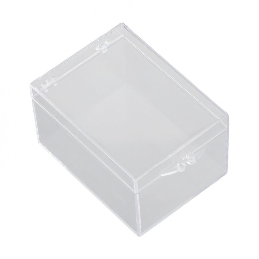 Premium Clear Plastic Storage Box for Insect Specimens Desktop Container
