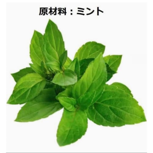 LUSH Creme de Menthe Mouthwash Tabs with Paper Bag, Mint, Refreshing, Bad Breath Care, Portable, Travel-Friendly, Freshly Handmade Cosmetics