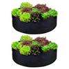 Set of 2 Fabric Raised Garden Beds for Planting Vegetables, Flowers and Herbs