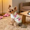 Kleiner Hund Teddy Pullover Malteser Frucht-Print Kleidung Haustier Niedlich Kirsch-Print Winter Warme Kleidung Niedlich Prinzessin Haustier Hund Katze Pullover