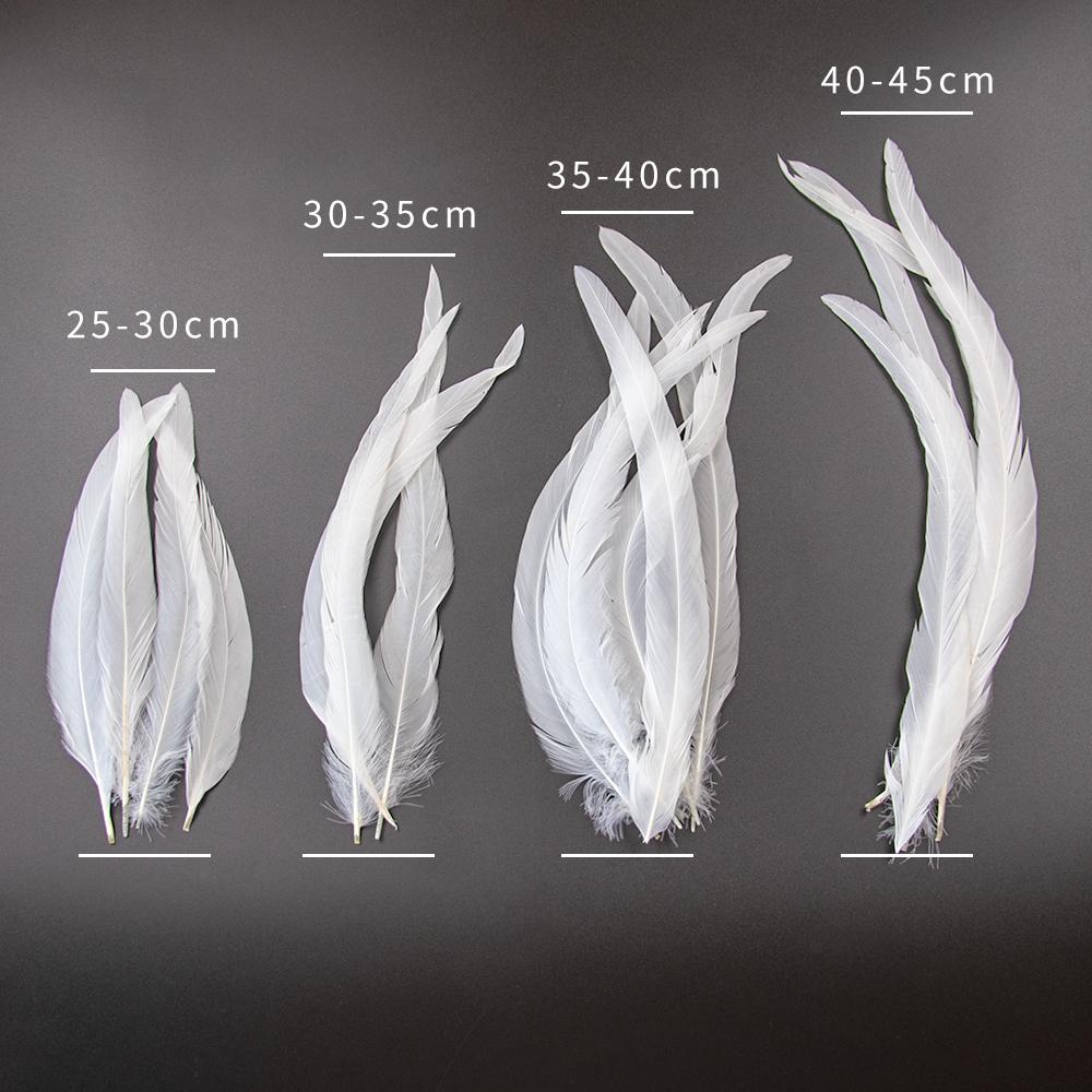 10Pcs/Lot Natural White Pheasant Feathers Wedding Home Party Decoration Length Rooster Plumes Diy Creative Carnival Crafts10-18"