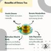 79 Degree Detox Tea | 100% Natural I Cleansing Green Tea Infusion with Ayurvedic Herbs - Supports Digestion & Metabolism |Natural Cleanse |L
