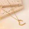 18K Gold Plated Titanium Steel Necklace for Women - Colorfast, Luxurious & Versatile Clavicle Chain
