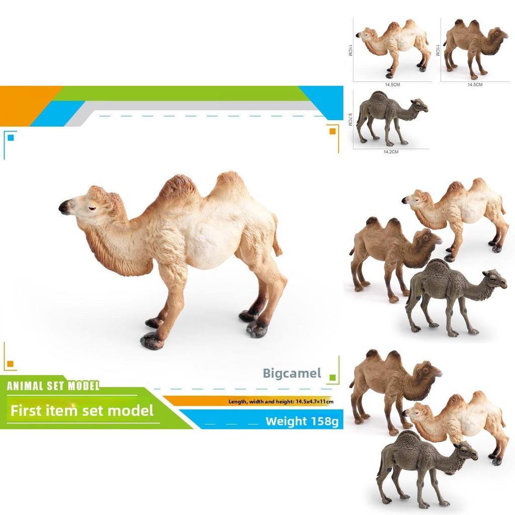 Animal Wildlife Pvc Model Single Hump Camel Decorative Toy For Kids Educational Gift