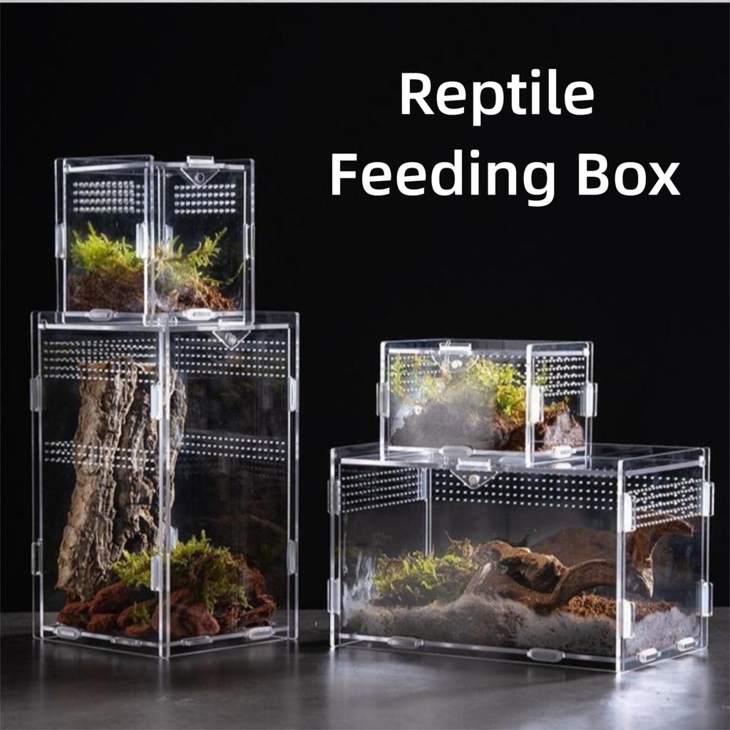 Anti-Escape Reptile Habitat Clear Spider Feeding Case Durable Lizard Breeding Box  for Chameleon