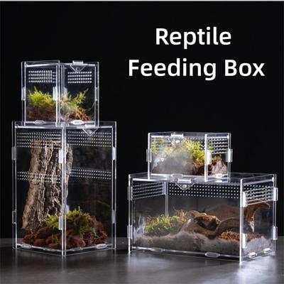 Acrylic Lizard Breeding Box Clear Spider Feeding Case Durable Reptile Habitat  for Scorpion