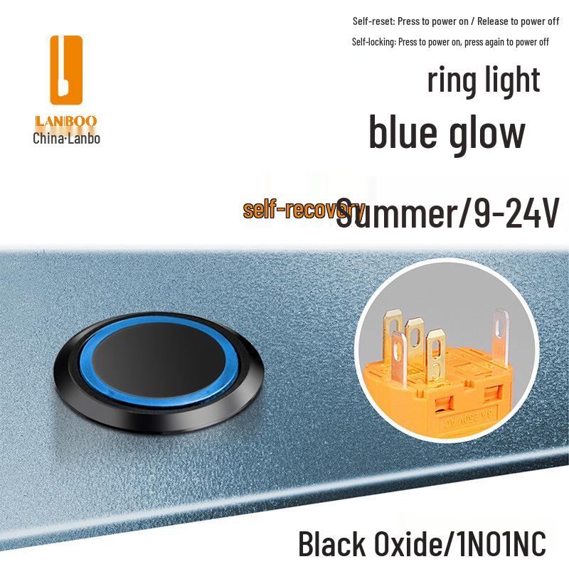 Lanbo 22A Stainless Steel Illuminated Self-Locking Momentary Push Button Elevator Switch