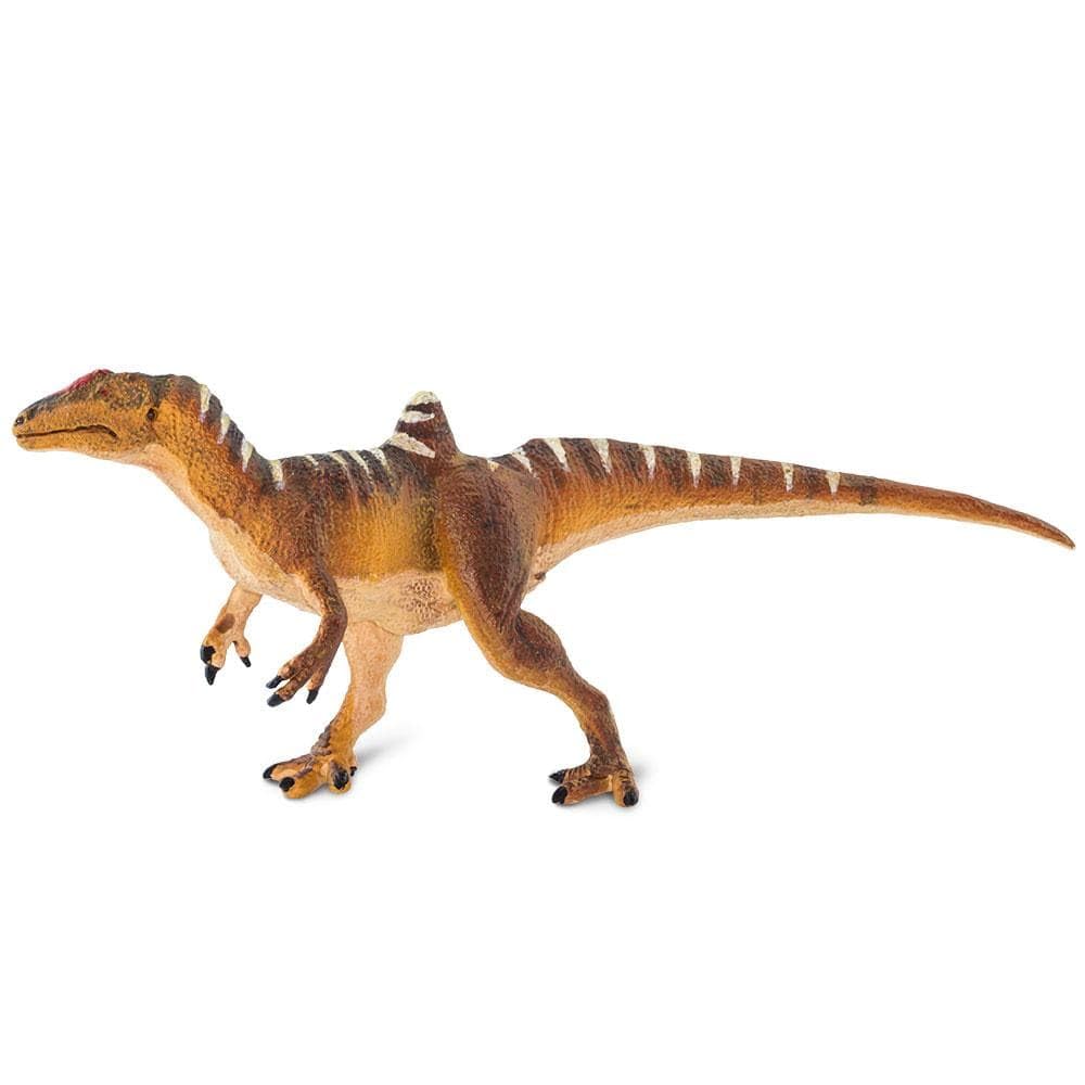 

SAFARI x x PVC 411701 Replica/Elasmosaurus 27 12.5 16.99cm