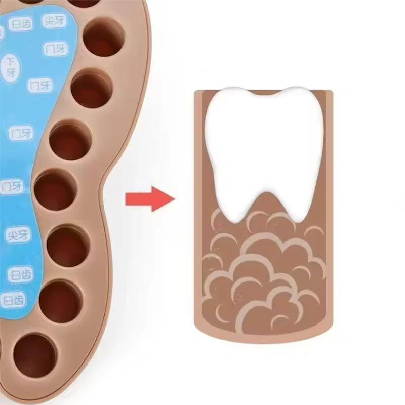 Children's Plastic Cartoon Baby Tooth Storage Commemorative Box for Tooth Loss Collection and Preservation