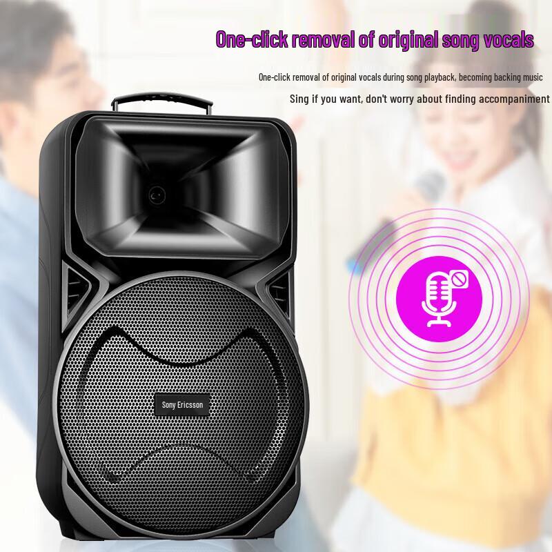 Souai SA-X81 Portable Outdoor KTV Speaker