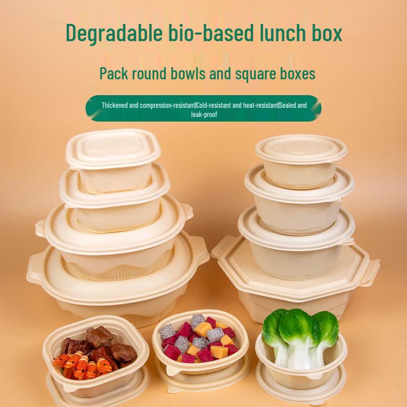 Shenglianxing Disposable Food Containers