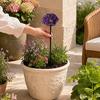 Stazione di abbeveraggio per api, Bagnetto per api da giardino, Mangiatoia d'acqua per api con design floreale, Ciotola colorata per bagno api e farfalle per decorazione esterna di giardino e cortile
