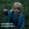 David Bella Children's Sweater Autumn Collection New Boys' Hoodie Middle and Large Children's Long Sleeve Knitted Top