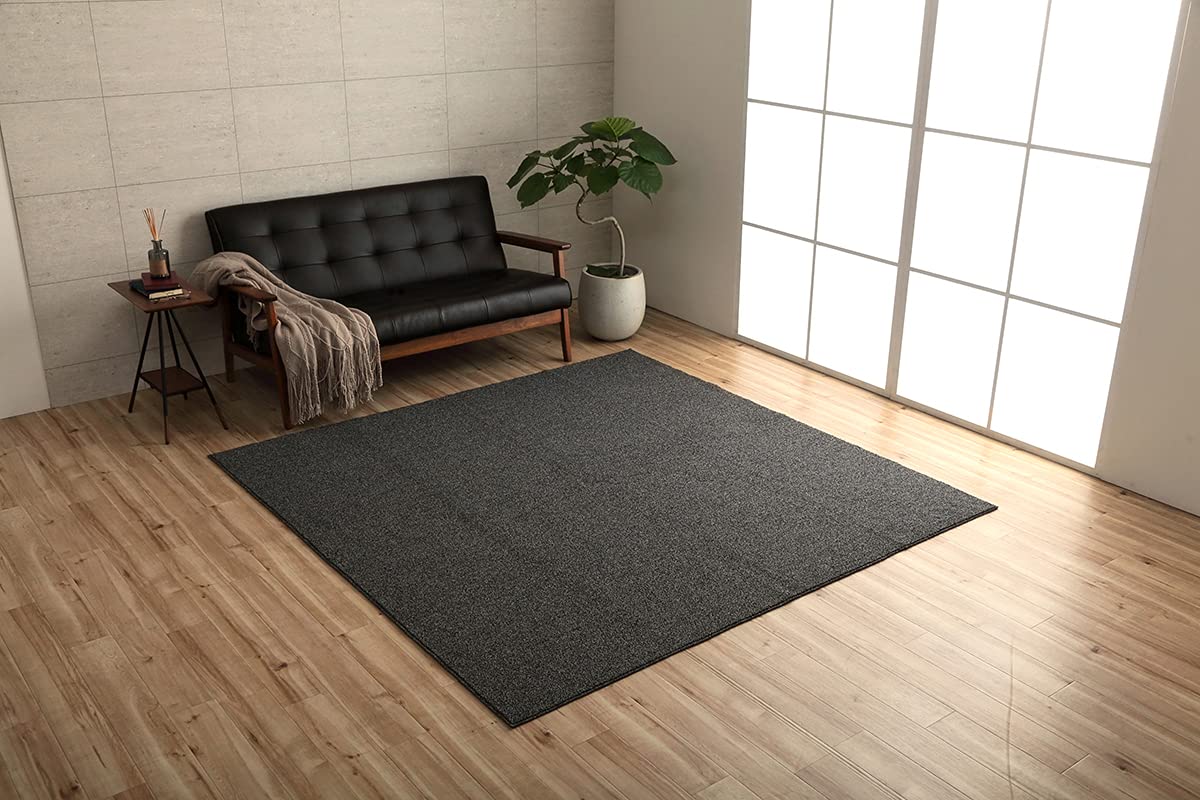 

Ковер Ikehiko Clade 190 x 240 см, черный, простой, 3 татами, прямоугольник, антибактериальный и устойчивый к запахам, петлевой оверлок, приблизительный размер. приблизительно. #3985989 чёрный