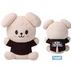 Stray Kids Peluche Skzoo Versione Abbracciami
