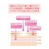 Pigeon Body Massage Cream 250g