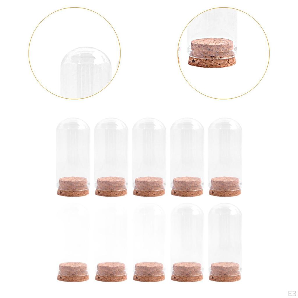 10er-Pack Glas-Display-Glocken für die Präsentation von Sammlerstücken