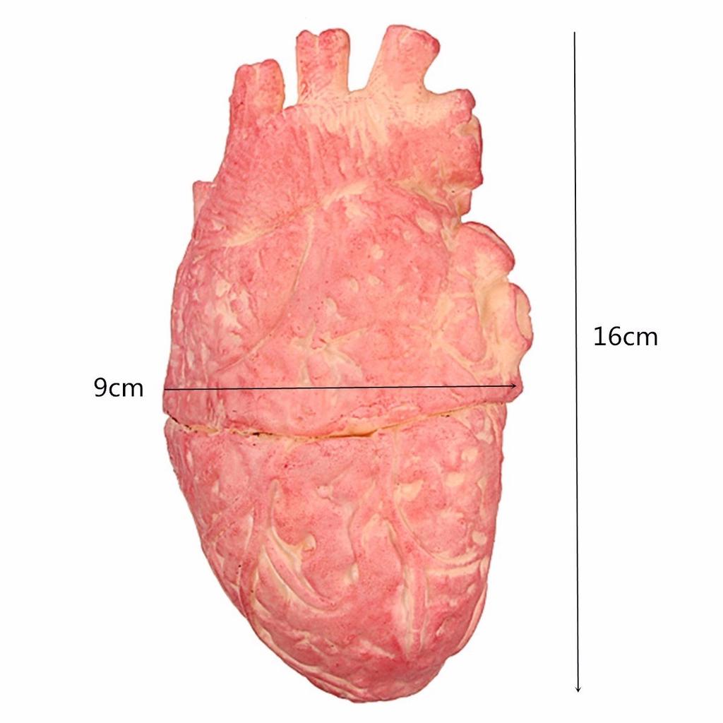 Horroribble Halloween Bloody Human Heart Prop Decoration Life Size Chop ...