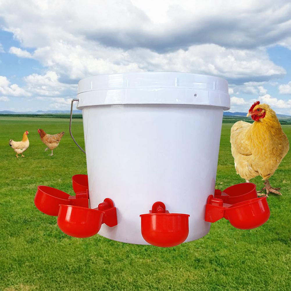 Automatic Poultry Drinker Pigeon/Chicken Waterer Water Bowl Hanging Poultry Feeder Portable Poultry Raising Supplies