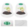 Plant Reusable Plant Propagation Cover Transparent Cloche Frost Protection Snail Protection