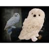 Harry Potter Plush Hedwig