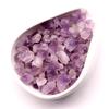 Uruguay Natural Amethyst Cluster Raw Stone Specimen DIY Pendant-Amethyst Flower Stem & Bud