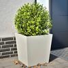 VidaXL Planters 2 Pcs White 50x50x50 Cm Steel, Outdoor Planter, Flower Box, Garden Box, Planter 851069