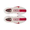 Nike Pegasus Plus Platinum Tint University Red Men Sneakers White Phantom Black FQ7262-003