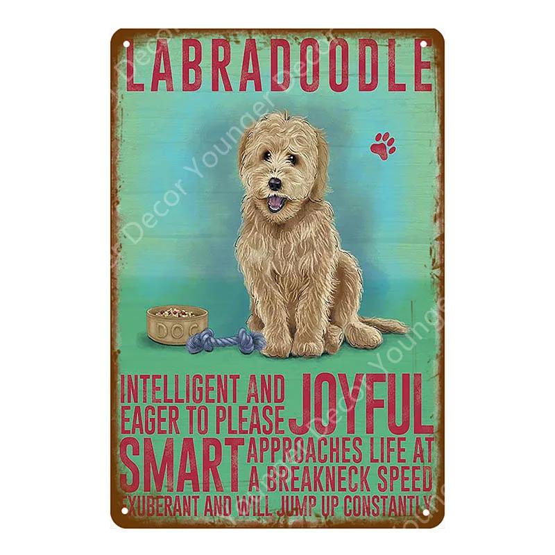 Animal Dog Cat Vintage Metal Poster Home Decor Retro Tin Sign For Pub Bar Club Decorative Plate Poodle Wall Plaque