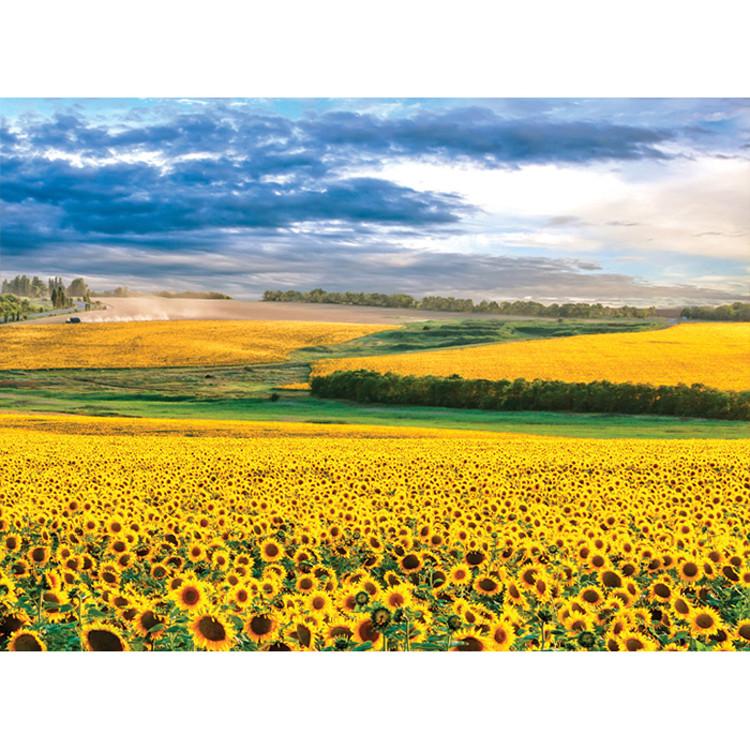 2000 Piece Jigsaw Puzzle - Sunset In a Beautiful Sunflower Field, Popular Korean Puzzle